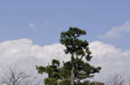 D2009047_001H