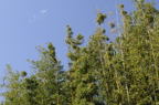 D2009047_010H