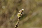 D2009048_050H