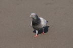 D2009049_044H