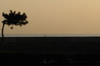 D2009052_026H