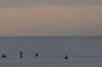 D2009054_052H