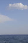 D2009056_004V