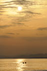 D2009060_070V