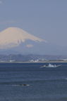 D2009063_011V