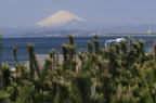 D2009063_013H
