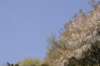 D2009067_025H