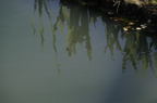D2009067_027H