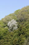 D2009068_077V