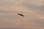 D2009073_072H