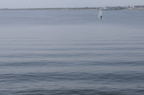 D2009074_020H