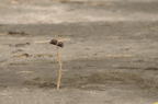 D2009074_058H