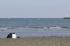 D2009079_003H