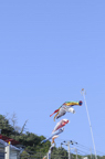 D2009079_035V