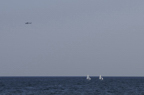 D2009079_043H