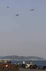 D2009079_051V