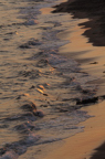 D2009079_120V