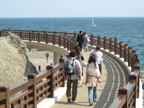 C20090430_113H