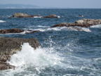C20090430_118H