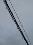 C20090508_018V
