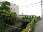 C20090508_019H