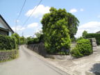 C20090514_077H