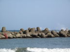 C20090514_147H
