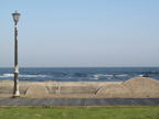 C20090514_186H