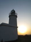 C20090514_193V