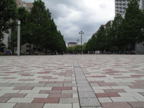 C20090516_004H