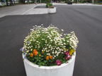 C20090516_011H
