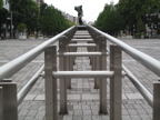 C20090516_019H