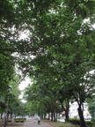 C20090516_059V