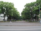 C20090516_062H