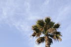 D2009083_006H