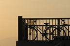 D2009083_032H