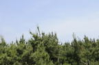 D2009084_003H