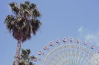 F20090901_11H