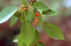 F20091101_00H