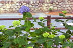 F20091101_01H