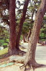 F20091101_11V