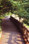 F20091101_23V