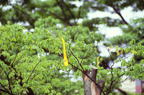 F20091201_12H