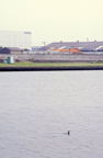F20091202_34V