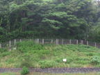 C20090605_018H