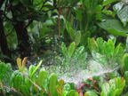 C20090605_025H