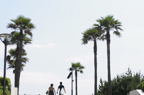 D2009085_015H