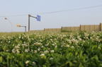 D2009086_008H
