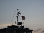 C20090622_033H