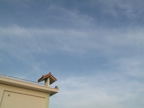 C20090623_023H